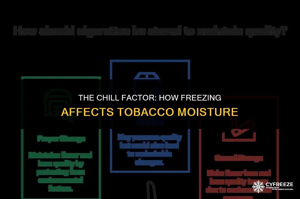does freezing tobacco make it moist