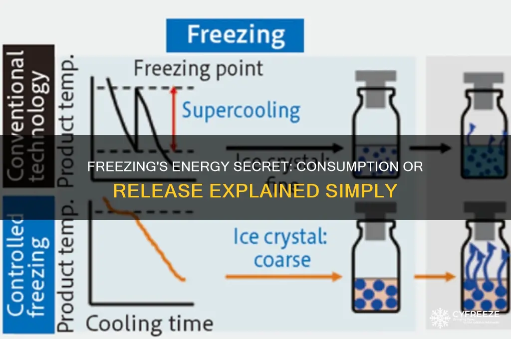 does freezing use or release energy