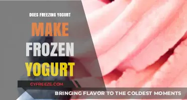 From Yogurt to Frozen Delight: The Simple Science Behind Freezing Yogurt