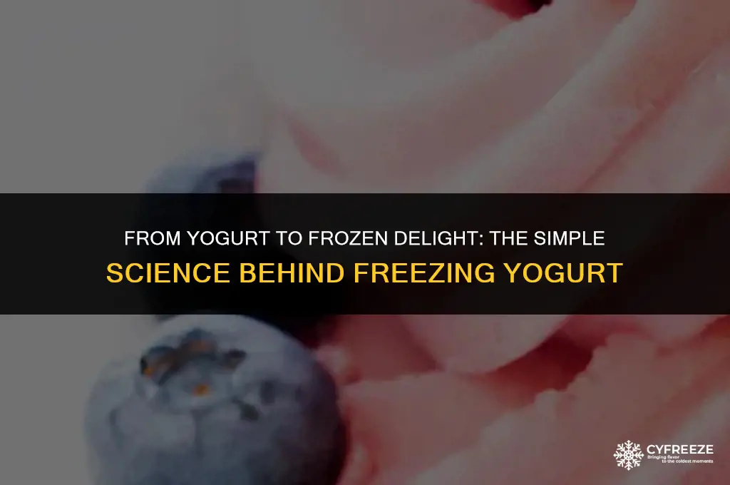 does freezing yogurt make frozen yogurt