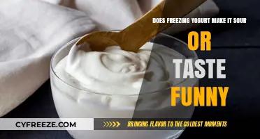 The Impact of Freezing on Yogurt: Sour or Funny Taste?