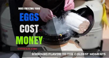 Egg Freezing Costs: Financial Insights for Fertility Preservation Decisions
