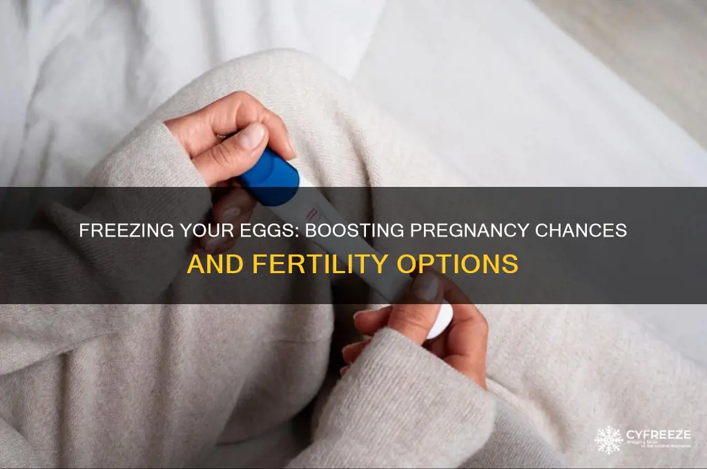 does freezing your eggs increase liklihood for pregnancy