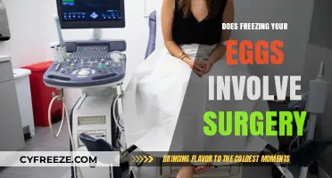 Egg Freezing Explained: Understanding the Surgical Process and What to Expect