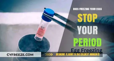 Does Freezing Your Eggs Affect Your Period? What to Expect
