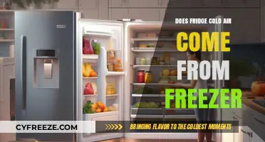 Chill Insights: Understanding the Source of Your Fridge's Cold Air