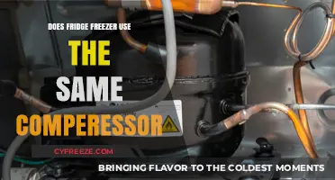 Exploring the Mechanics: Do Fridge and Freezer Share a Compressor?