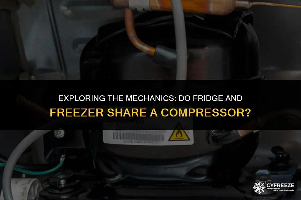 does fridge freezer use the same comperessor