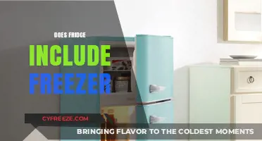 Exploring the Essentials: Do All Refrigerators Come with a Freezer?