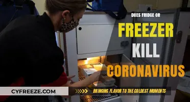Chilling Facts: Does Your Fridge or Freezer Destroy Coronavirus?