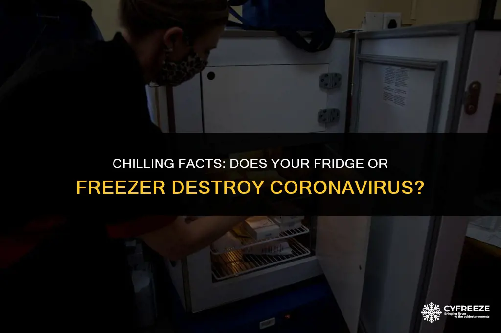 does fridge or freezer kill coronavirus