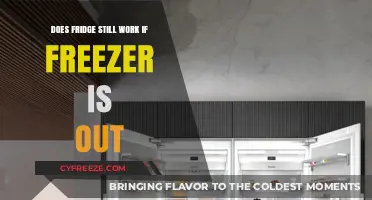 Does Your Fridge Still Work if the Freezer is Out? Explained