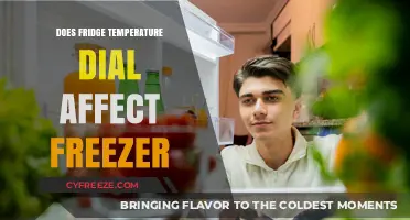 How Fridge Temperature Settings Impact Freezer Performance: A Comprehensive Guide