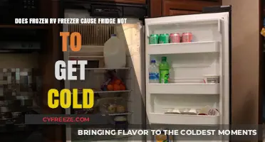 Troubleshooting RV Freezers: Why Your Fridge Might Not Be Getting Cold