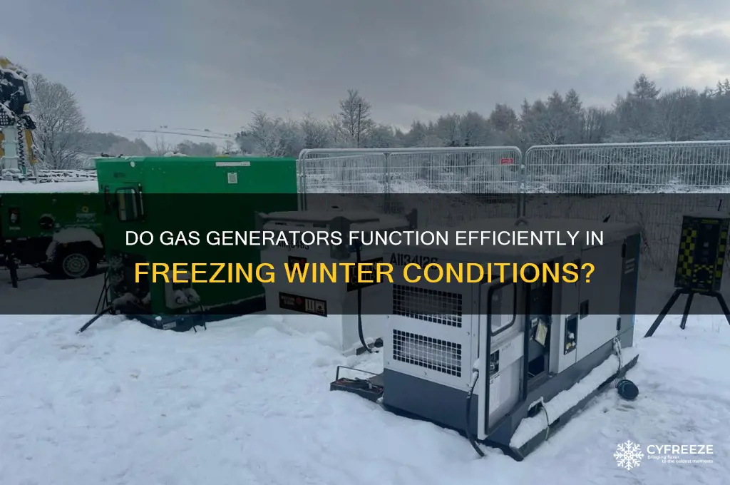 does gas generators work in freezing temperatures