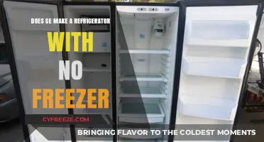 Exploring GE's Refrigerator Options: Can You Find One Without a Freezer?