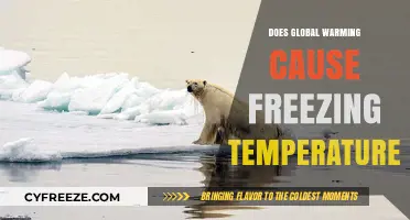 Global Warming Paradox: How Climate Change Fuels Extreme Cold Weather