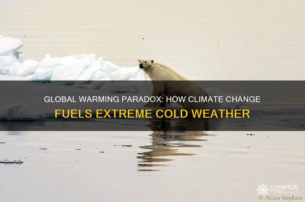 does global warming cause freezing temperatures