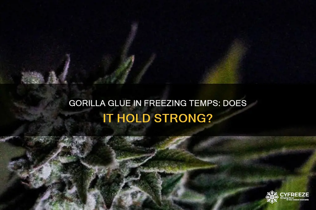 does gorilla glue work in freezing temperatures