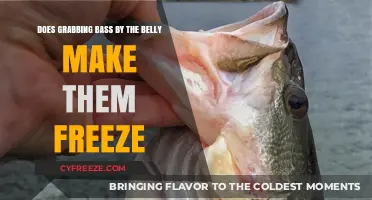 Bass Belly Grab: Does It Really Make Them Freeze?