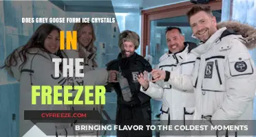 Chilling Grey Goose: Ice Crystal Formation Explained
