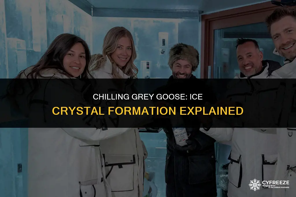 does grey goose form ice crystals in the freezer