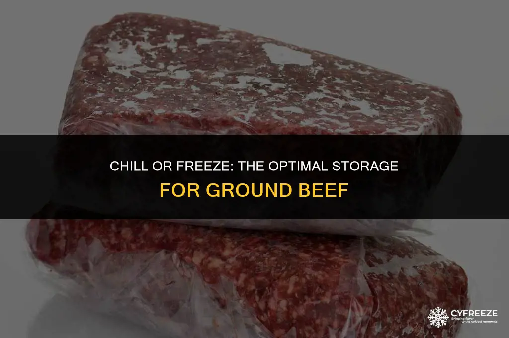 does ground beef go in the fridge or freezer