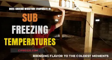 Can Ground Moisture Evaporate in Sub-Freezing Temperatures? Exploring the Science
