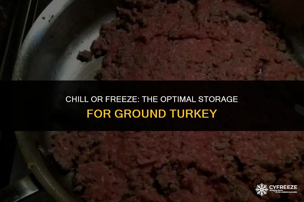 does ground turkey go in the fridge or freezer