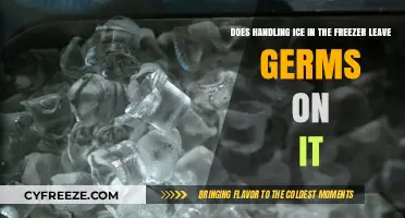 Chilling Facts: The Truth About Ice Handling and Germs