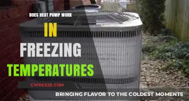 Heat Pumps in Freezing Temps: Do They Work Efficiently?