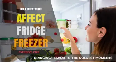 Chill Concerns: How Hot Weather Impacts Your Fridge Freezer