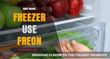 Does Your Home Freezer Use Freon? Understanding Refrigerant Types