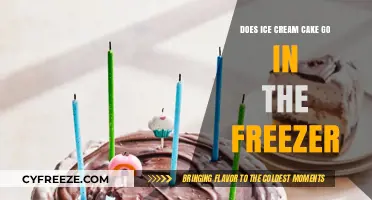 Chill or Not: The Great Ice Cream Cake Freezer Debate