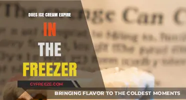 The Scoop on Ice Cream Expiration: Freezer Facts Unveiled