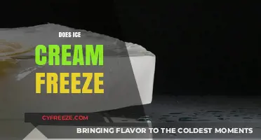 The Scoop on Ice Cream: Does It Really Freeze?