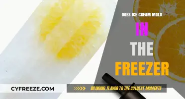 The Scoop on Ice Cream Mold: Freezer Facts and Fiction