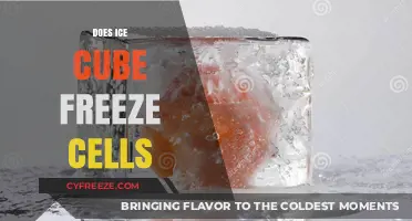 The Chilling Truth: How Ice Cubes Affect Your Cells