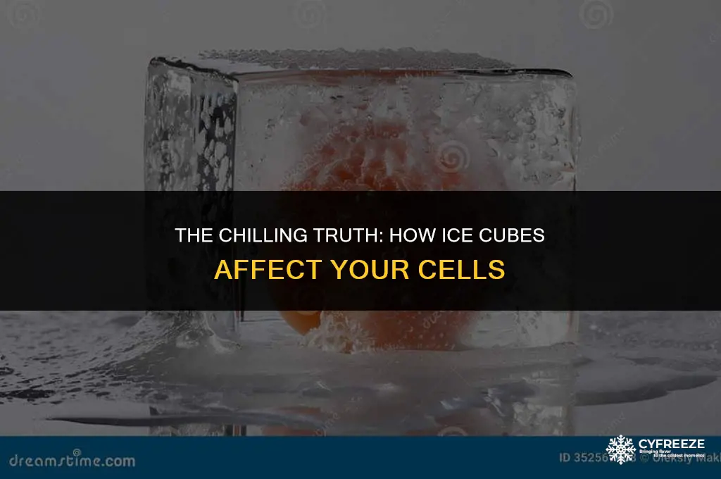 does ice cube freeze cells