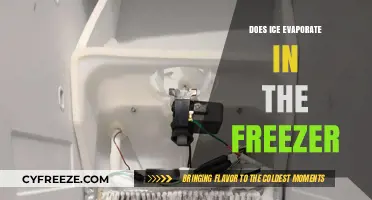 The Mystery of Ice Evaporation: What Happens in the Freezer?