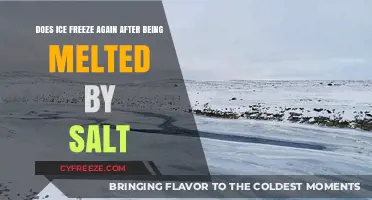 The Melting Point: Salt's Impact on Ice Revisited