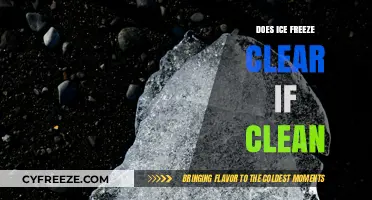 The Clarity of Ice: Does Clean Water Freeze Transparent?