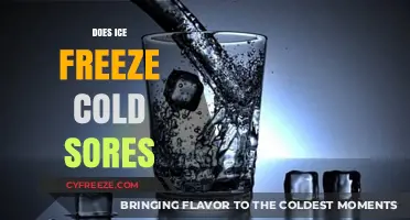 Chilling Truth: Can Ice Really Freeze Away Cold Sores?
