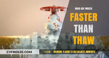 The Chilling Truth: Ice's Surprising Thawing and Freezing Dynamics