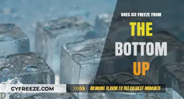 The Surprising Truth About How Ice Really Freezes