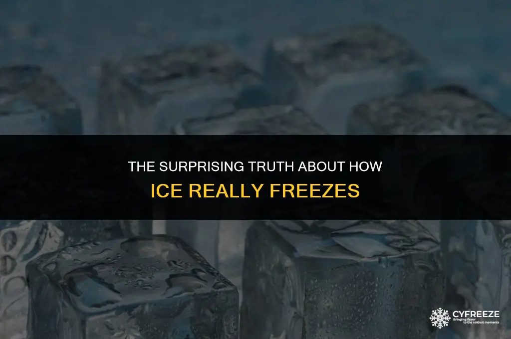 does ice freeze from the bottom up