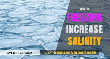 The Impact of Ice Freezing on Salinity Levels