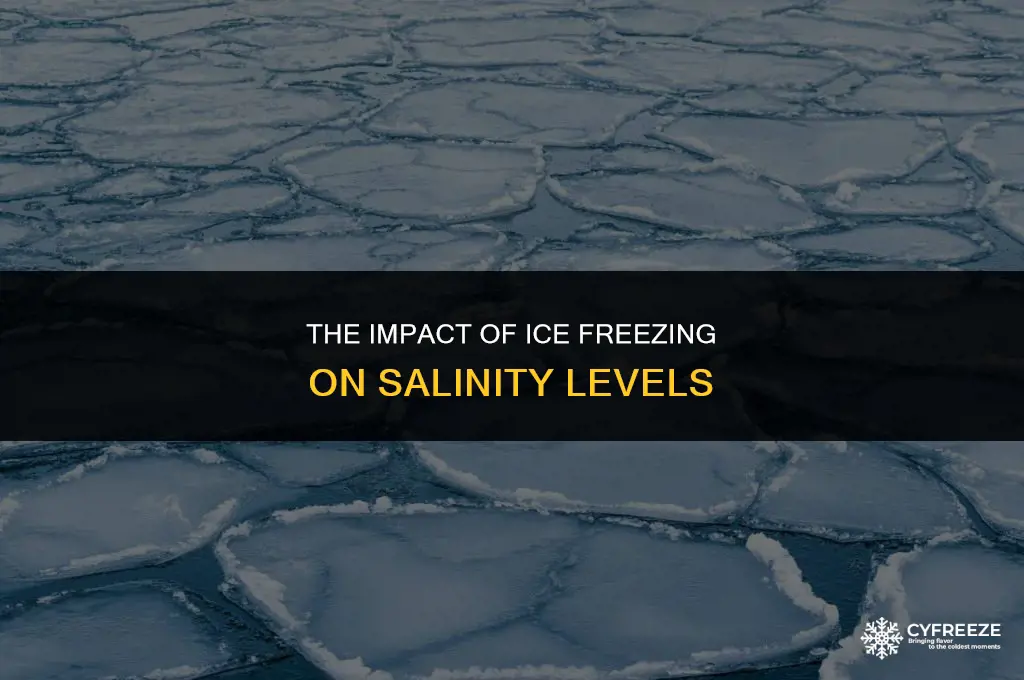 does ice freezing increase salinity