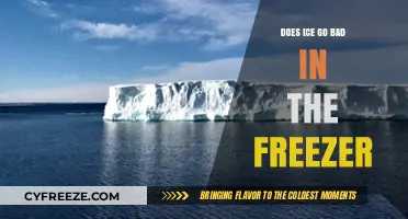 The Surprising Truth About Ice Shelf Life in Your Freezer