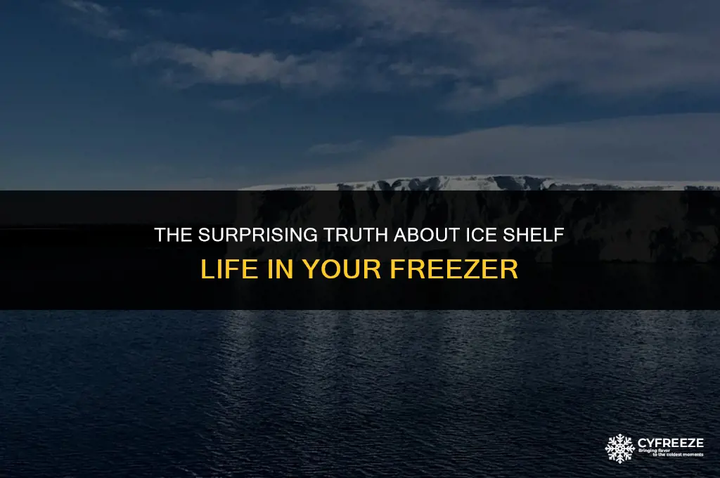 does ice go bad in the freezer